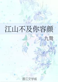 江山不及你容颜