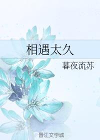 相遇太久
