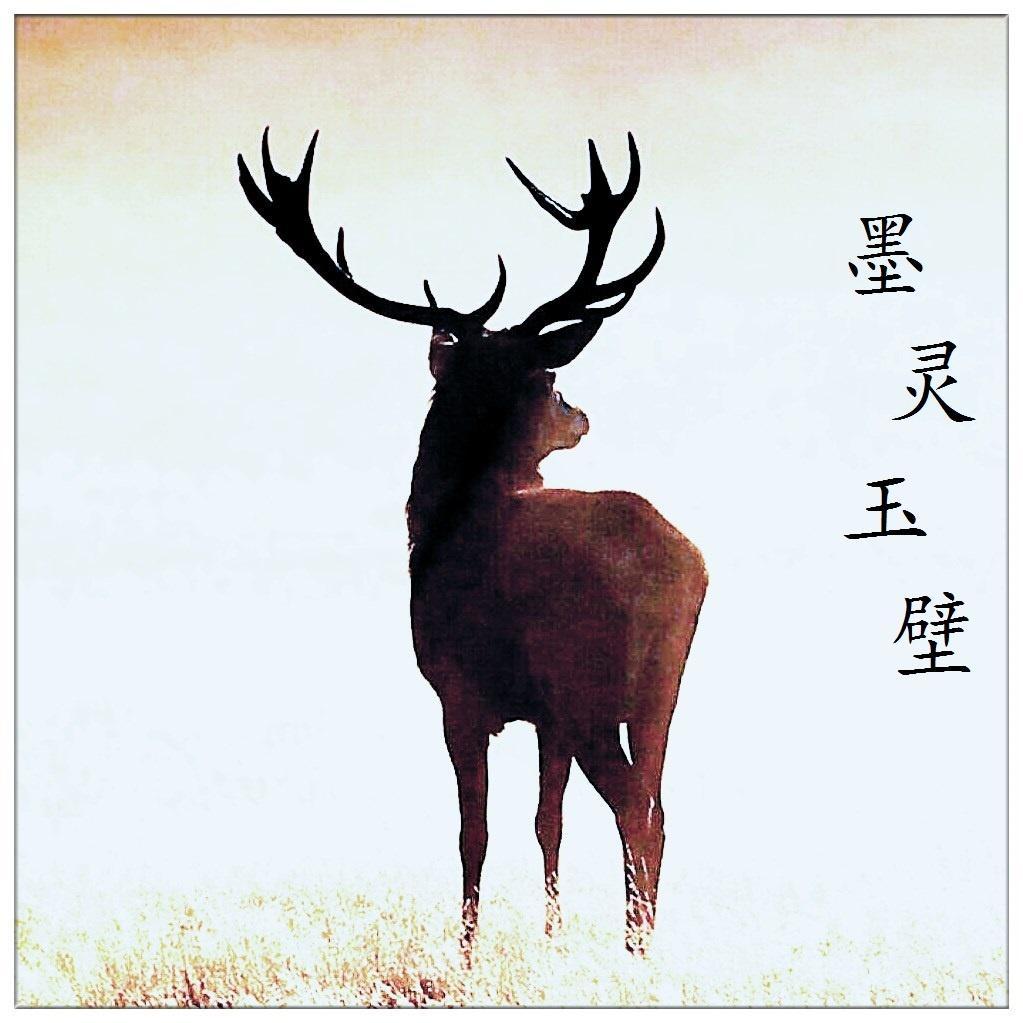 墨灵玉壁