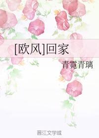[欧风]回家