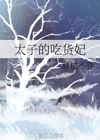 太子的吃货妃
