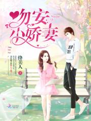 画地为婚:独爱天价妻