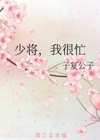 少将,我很忙
