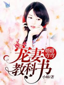 婚路弯弯:宠妻教科书