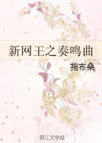 新网王之奏鸣曲