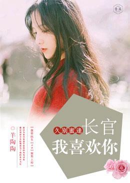 久别蜜逢:长官,我喜欢你