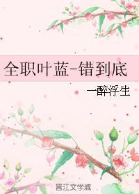 全职叶蓝-错到底