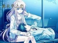熏衣草之恋