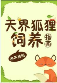天界狐貍饲养指南