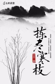 拣尽寒枝