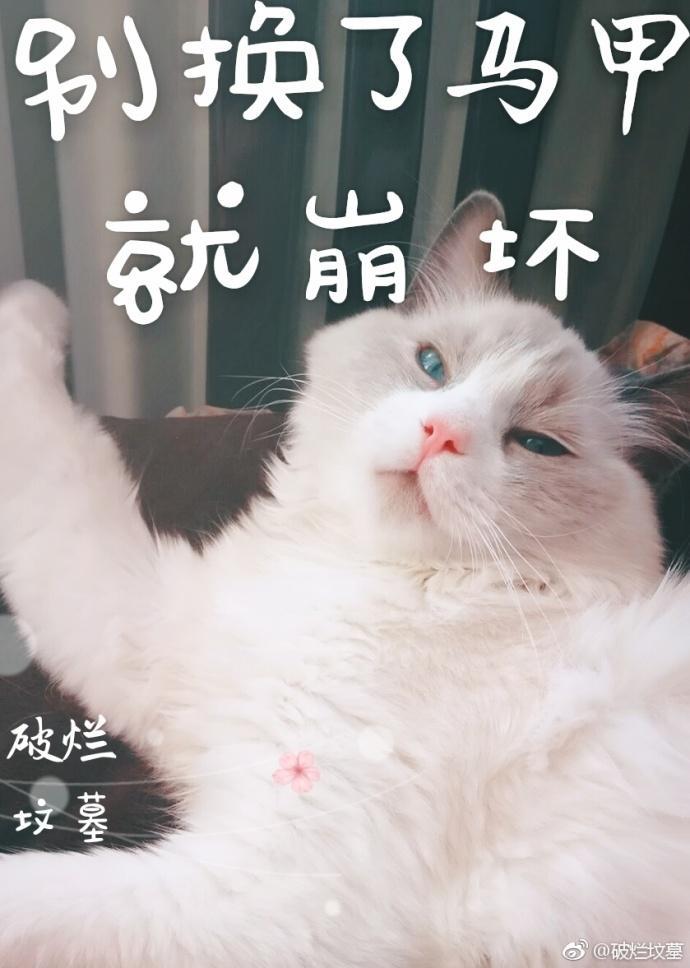 别换了马甲就崩坏
