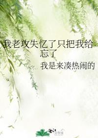 我老攻失忆了只把我给忘了