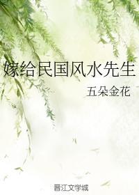嫁给民国风水先生