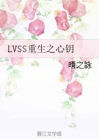 LVSS重生之心钥