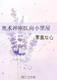 奥术神座BL向小黑屋