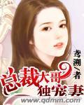 总裁大哥独宠妻
