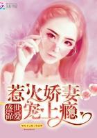 盛世锦爱,惹火娇妻宠上瘾