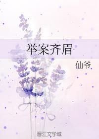 举案齐眉
