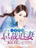 总裁追妻三十六计
