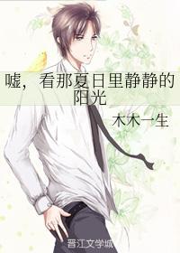 嘘，看那夏日裏静静的阳光