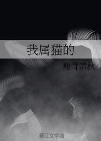 我属猫的