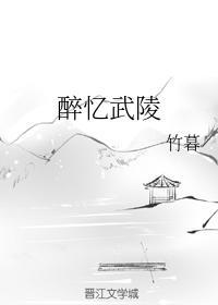 醉忆武陵