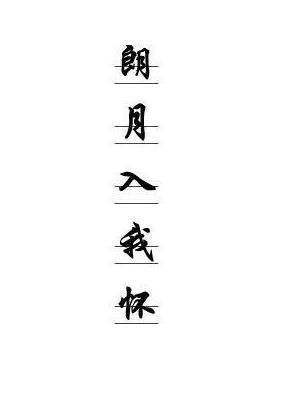 朗月入我怀
