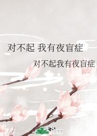 对不起 我有夜盲癥