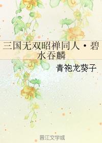 三国无双昭禅同人·碧水吞