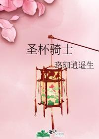 圣杯骑士