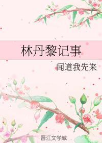 林丹黎记事