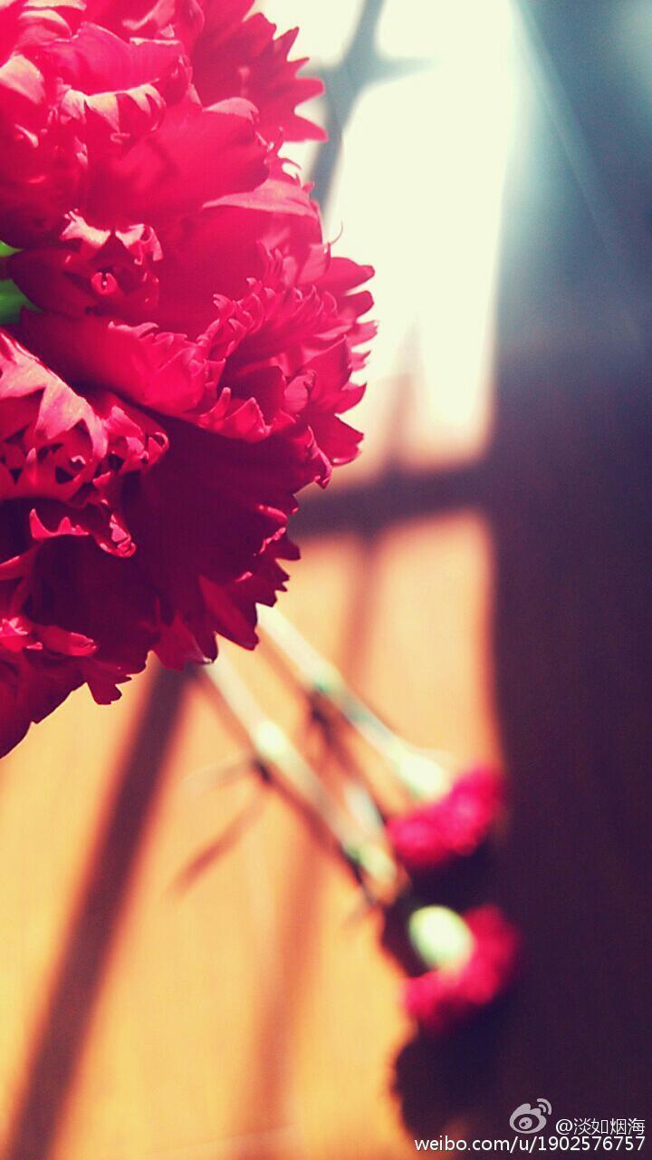 花开予夏