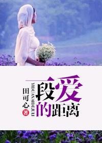 一段爱的距离