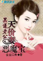 黑道老公:天价妻恶魔宝