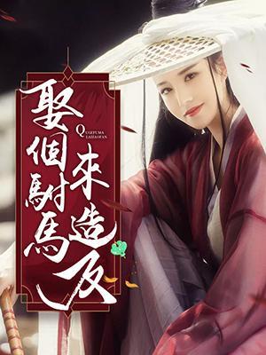 娶个驸马来造反
