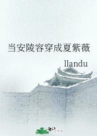 当安陵容穿着夏紫薇