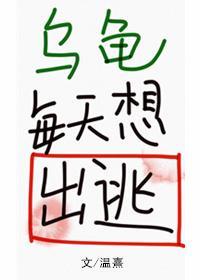 乌龟每天想出逃