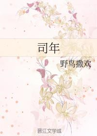 司年