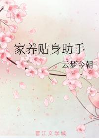家养贴身助手