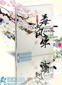 重生之毒妃风华