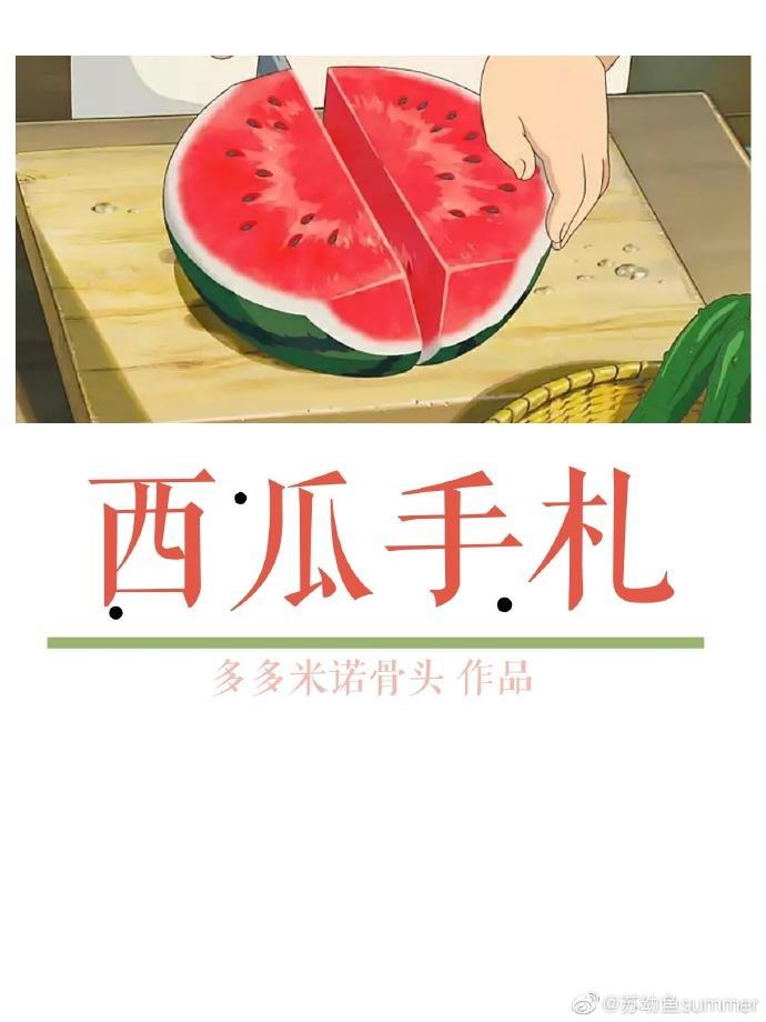西瓜手札