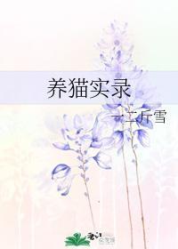 养猫实录