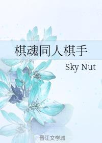棋魂同人棋手
