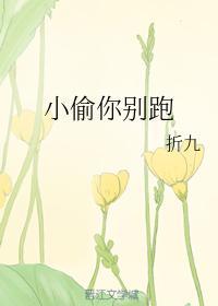 小偷你别跑