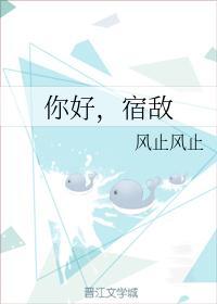 你好,宿敌