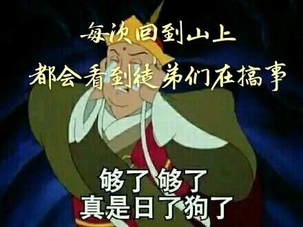 每次回到山上都会看到徒弟们在搞事