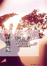 谋情记