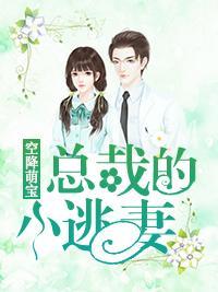 空降萌宝:总裁的小逃妻