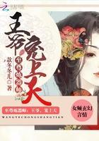 至尊炼器师:王爷,宠上天