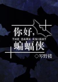 你好,蝙蝠侠